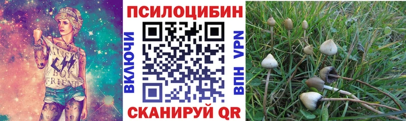 Галлюциногенные грибы прущие грибы  Карасук 